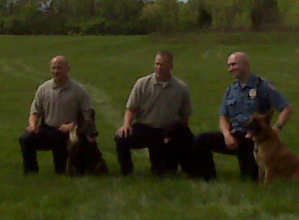 Police canine handlers and dogs after their demo.
